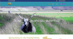 Desktop Screenshot of bellamaremma.com