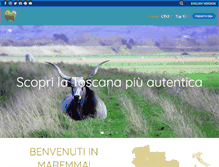Tablet Screenshot of bellamaremma.com